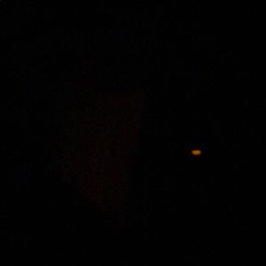 Meet your Posher, Deonta